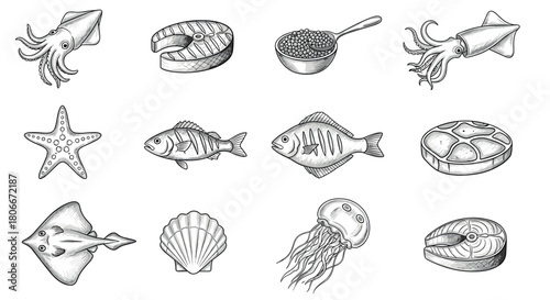 Hand-drawn seafood and marine creatures collection in detailed style