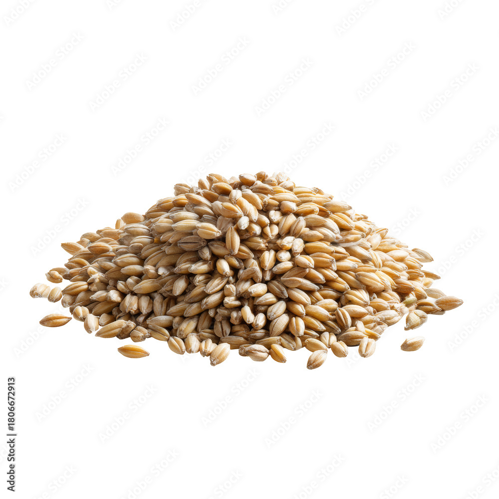 Obraz premium Heap of barley grains with transparent background