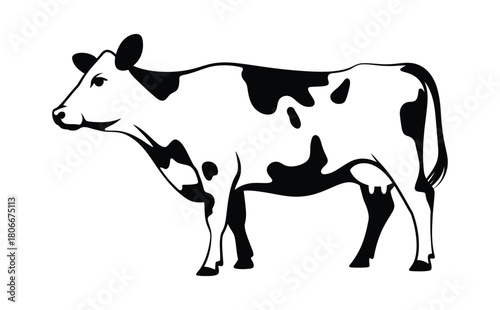 Whole Holstein spotted dairy cow or cattle , cow and calf flat vector icon for farm apps and websites