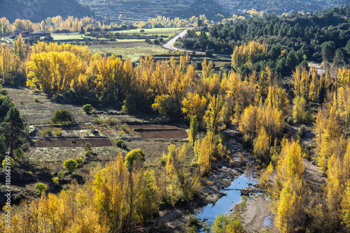 Foto Autumn elm forest by the Bergant river, Rosell ravine, Zorita del Maestrazgo, pr