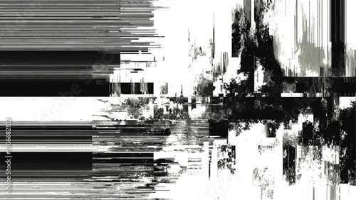 Abstract Black and White Glitch Art with Geometric and Organic Elements