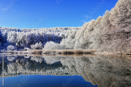 中牧湖の水鏡と霧氷