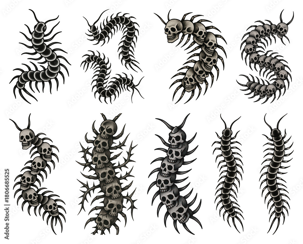 Obraz premium PNG Skull centipede tattoo designs, element set on transparent background