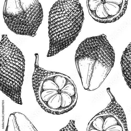 Salak seamless pattern. Tropical plant sketch. Exotic fruit background. Hand drawn vector illustration. Snake fruit drawing. NOT AI generated