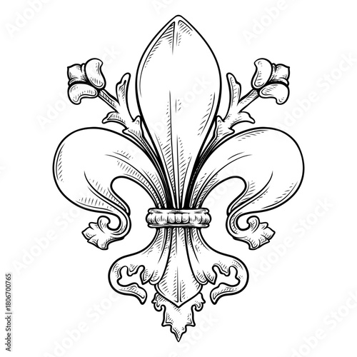baroque fleur de lis vector with line art drawing illustration