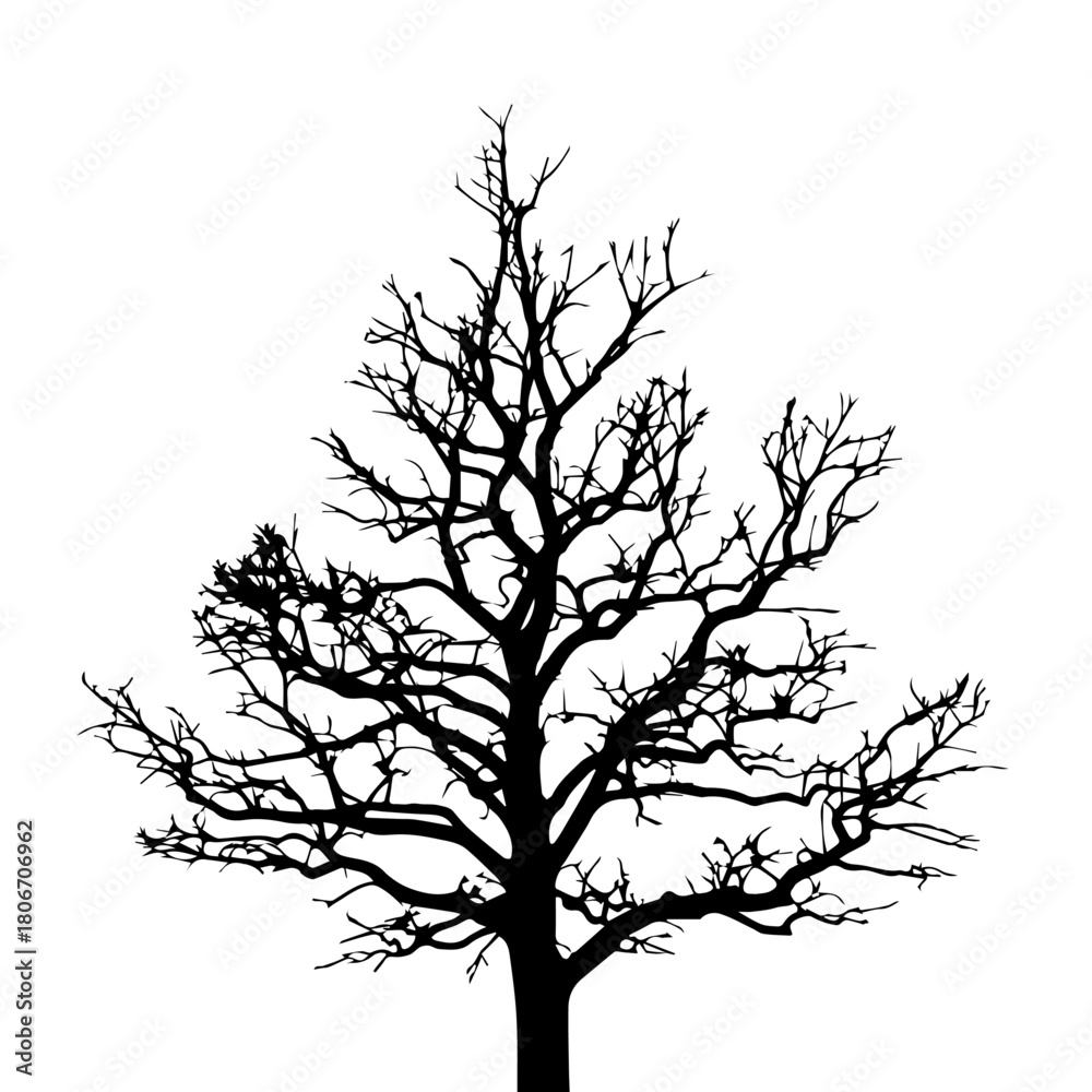 Fototapeta premium Silhouette of a bare tree, perfect for artistic projects or nature-themed designs
