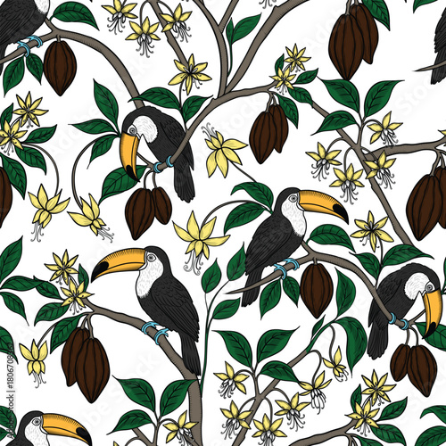 Toucans on cocoa branches vector seamless pattern. Exotic birds and chocolate fruits hand drawn endless print for fabric and wallpaper in sketch style. Retro background toile de jouy.