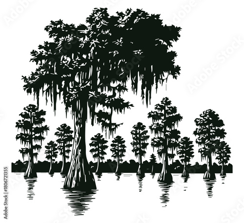Detailed Cypress Tree in Swamp Black and White Vector Illustration