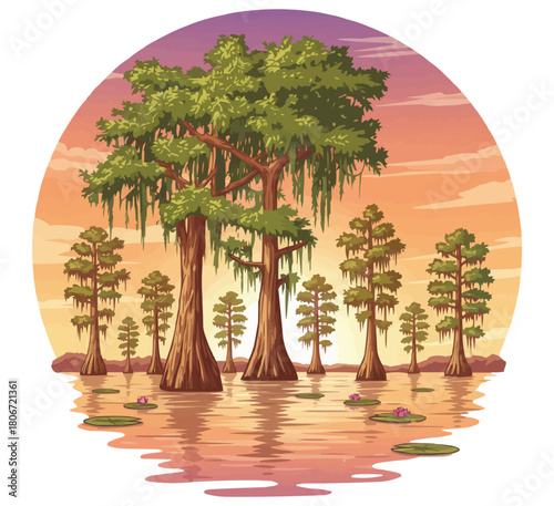 Detailed Cypress Tree in Swamp, Tranquil Bayou Sunset with Mossy Cypress Trees vector illustration
