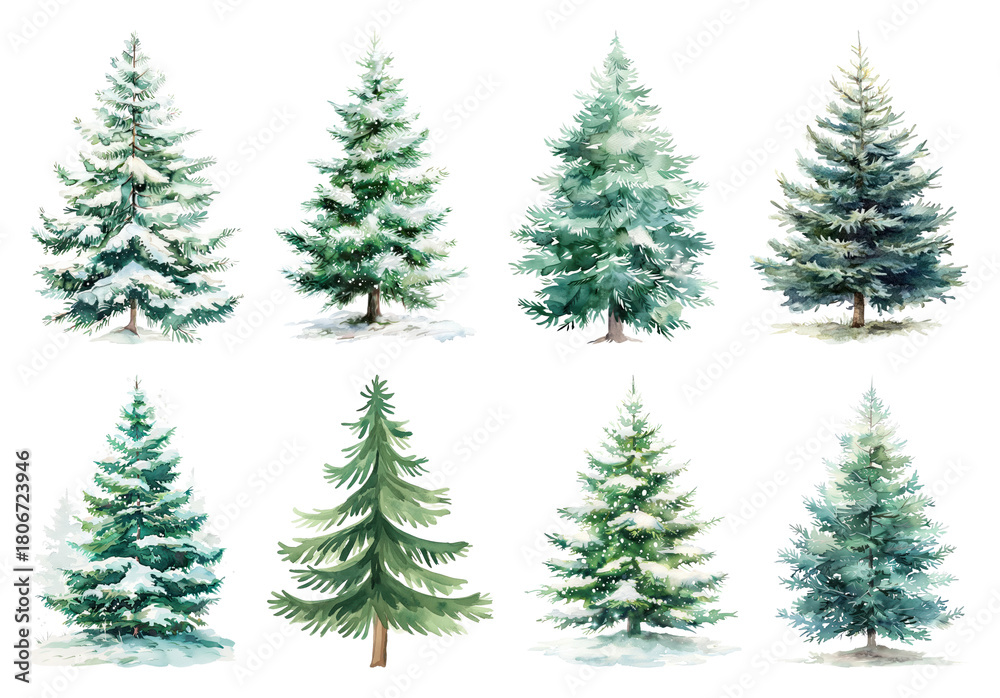Obraz premium Watercolor evergreen trees collection.