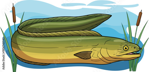 Green Eel Swimming Among Cattails in Water fish marine life