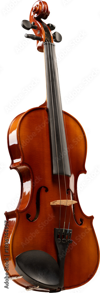 Fototapeta premium Violin angled left with glossy wooden body and elegant scroll isolated on transparent background. Concept of music teaching, orchestral branding, e-commerce visuals and educational guides.