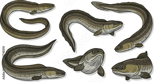 Collection of Seven Eels and Fish in Various Poses