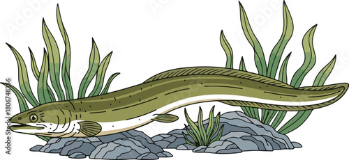 Green Eel Resting on Rocks Among Aquatic Plants fish