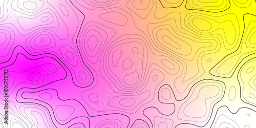 Topographic map pattern background vector. packaging , web, geographic grid map vector illustration. 
