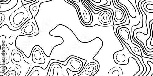 Topographic map background geographic line map with elevation assignments. packaging , web, geographic grid map vector illustration.
