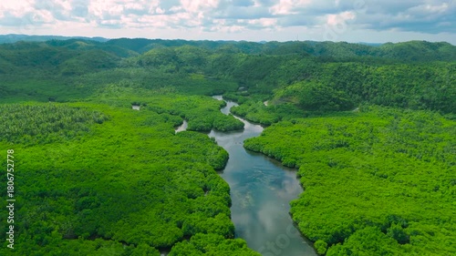 Aerial drone view of a winding river through a dense green forest, Anavilhanas archipelago, Negro River, Amazonas, Brazil.