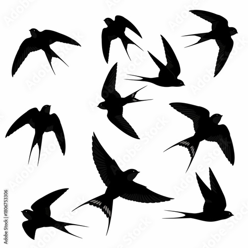 A flock of swallows in flight, silhouettes against a, creating a dynamic and minimalist composition isolated on