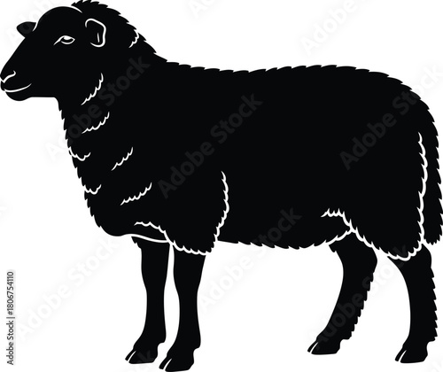 Black sheep silhouette vector illustration farm animal livestock art eps