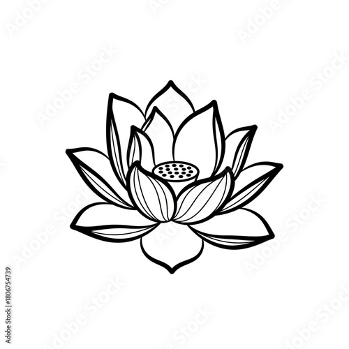 Elegant lotus flower illustration in black and white, isolated on a serene and symbolic design representing purity and enlightenment