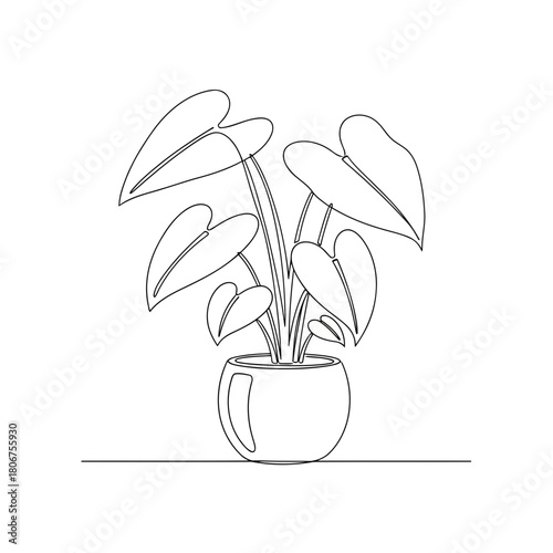 Continuous line drawing of monstera plant in pot isolated on houseplant, indoor, decoration, vector illustration