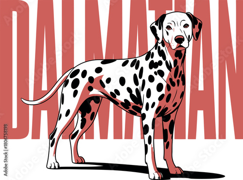 vector illustration of a dog