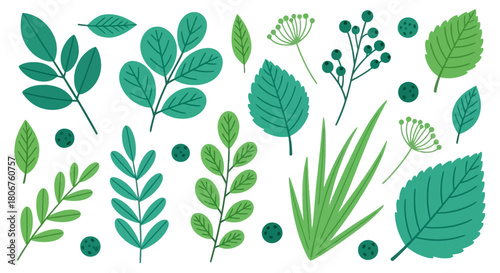 Botanical Variety A diverse collection of vibrant green leaves and foliage for nature-inspired designs
