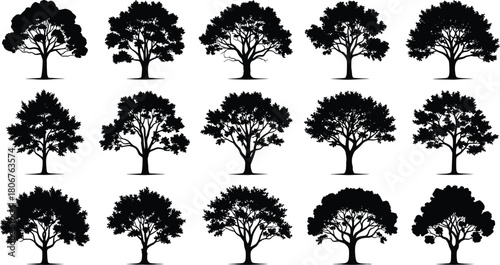 Collection of detailed tree silhouettes with natural foliage, forest landscape elements, botanical illustration set, nature themed vector graphic design elements
