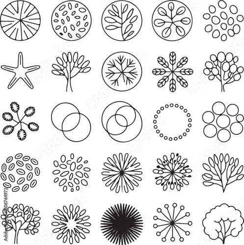 Set of Hand Drawn Floral Ornaments in Black and White Style