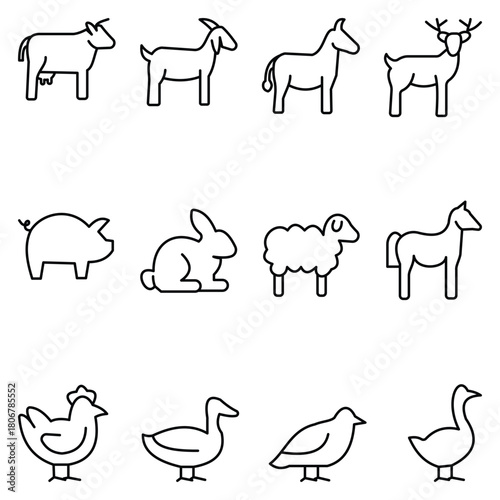 Savanna and Wild Animal Linear Icons Set – Minimalist Outline Lion, Elephant, Giraffe, Zebra, Rhinoceros, Cheetah, Bear, Bird, Owl, Fox, Rabbit and Chicken Vector Illustration