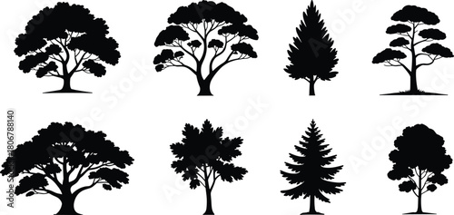 Tree silhouette vector collection, various forest plants like oak pine and spruce, black nature graphics isolated on white