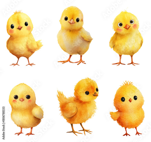 Watercolor chicks set. Yellow fluffy newborn chicks. Spring bird characters and Easter symbols. Tiny farm animals with expressive faces. Vector illustration.