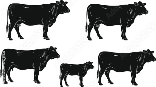 Cow and calf silhouette set featuring dairy cattle illustrations, livestock farm animal vector collection for agriculture, ranch, farming and design use