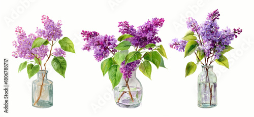 Watercolor lilac flowers in glass vase — purple blooming branches with delicate petals isolated on white. Spring floral bouquet illustration with violet blossoms and fresh botanical elements.