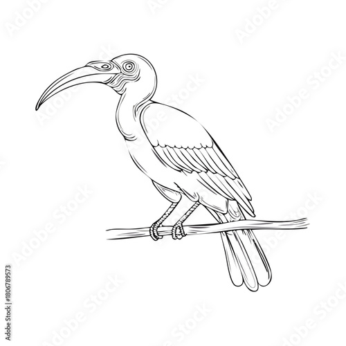 Stylized line drawing of a bird with a long curved beak perched on a branch