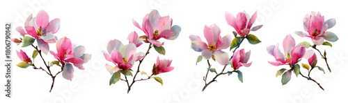 Soft pink blossoms on delicate branches with vintage botanical style. Spring flowering tree illustration featuring pastel petals, elegant stems and natural beauty for cards.