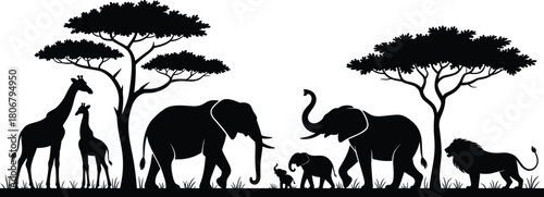 African safari animals silhouette vector illustration, wild giraffe elephant and lion family walking in savannah landscape with acacia trees, black white