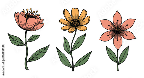 A trio of stylized hand-drawn flowers in a vintage botanical illustration style.