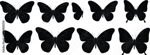Collection of butterfly silhouette illustrations with detailed wings, nature insect vector design, decorative graphic elements for creative art projects