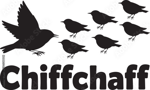 Chiffchaff birds black silhouette set vector illustration depicting multiple small passerine birds and large font text