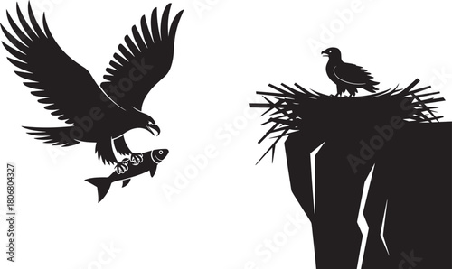 Powerful eagle silhouette delivering prey fish to aerie nest on steep cliff face where young bird waits in dramatic outdoor scene