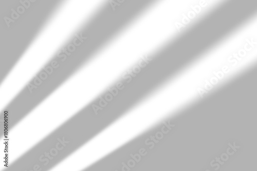 Soft sunlight streaming through window creates a peaceful, modern ambiance with gentle shadows and bright highlights