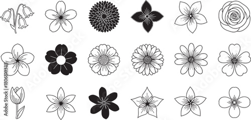 vector flower design in a white background silhouette collection