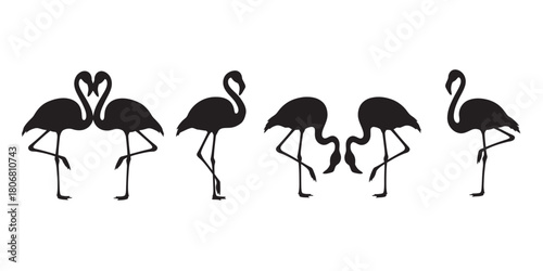 Animal silhouette collection with white background