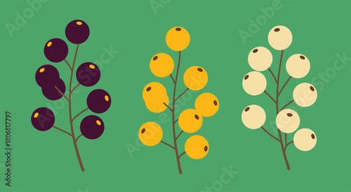 Simple flat illustration of three branches with black yellow and white berries on a solid green background vector set.