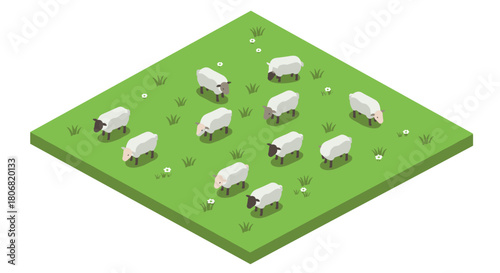 Isometric sheep grazing on pasture with flowers on sunny day
