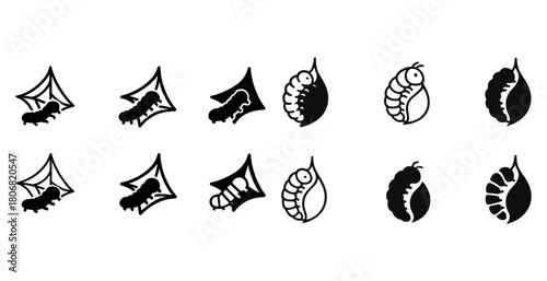 Insect life cycle icons: caterpillar, cocoon, butterfly evolution stages