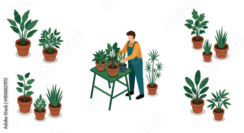 Gardening enthusiast tending potted plants in isometric design