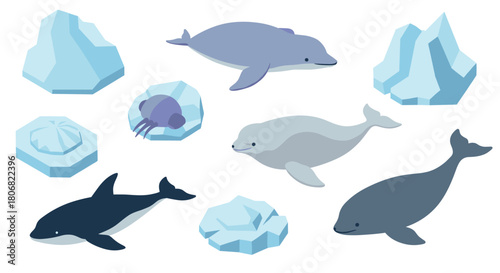 Playful marine life and icebergs in cute minimalist style