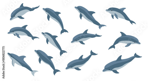 Flat stylized dolphin set with various poses in blue tones for marine themed designs